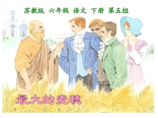 16《最大的麦穗》2013