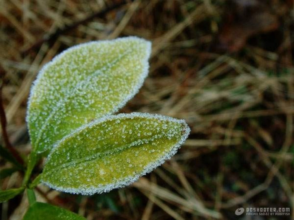 小学语文一年级课件-识字3-8_第3页