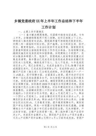乡镇党委政府XX年上半年工作总结和下半年工作计划