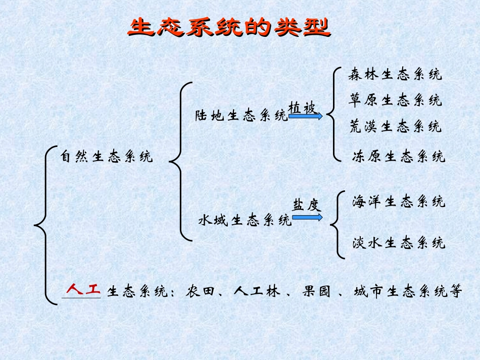 51生态系统的结构_第3页