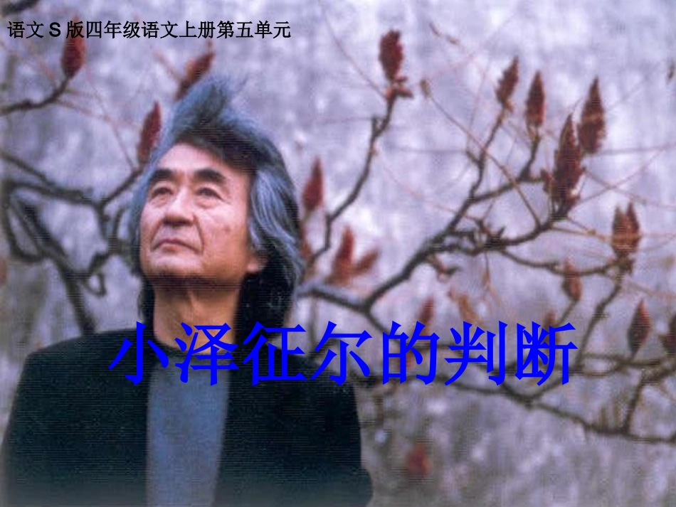 19小泽征尔的判断_第1页