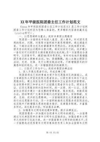 XX年甲级医院团委主任工作计划范文