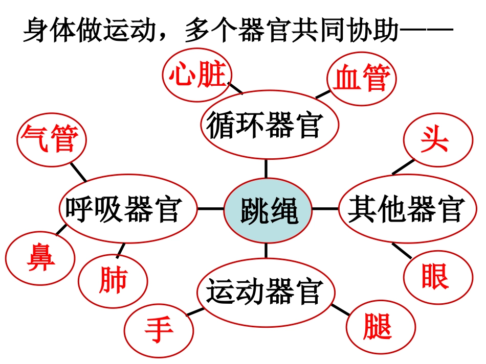 相互协作的人体器官_第2页