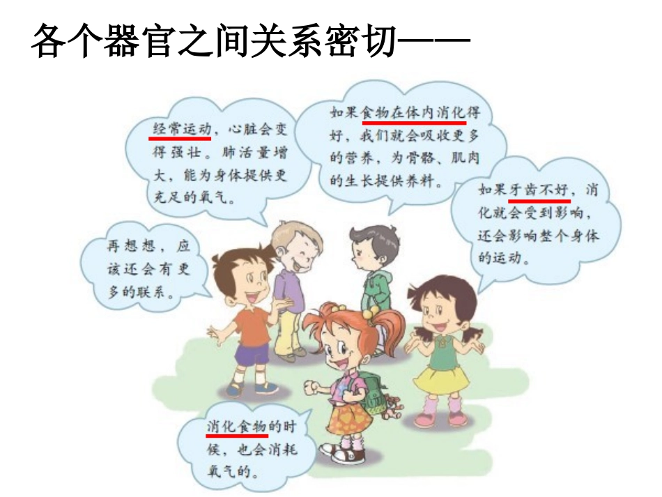 相互协作的人体器官_第3页