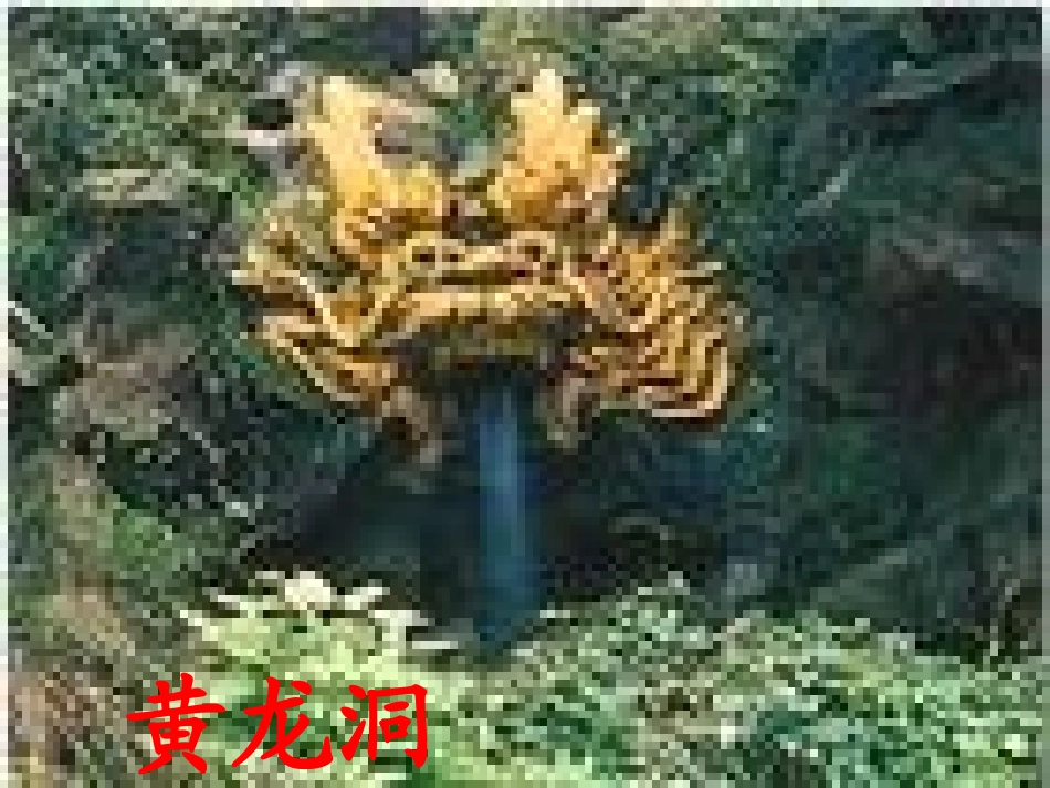 3.1西湖的绿_第2页