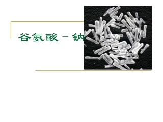 味精生产工艺流程