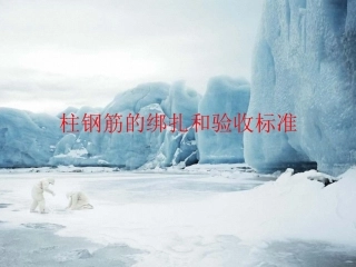 柱钢筋的绑扎和验收标准