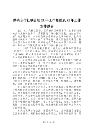 供销合作社联合社XX年工作总结及XX年工作安排报告
