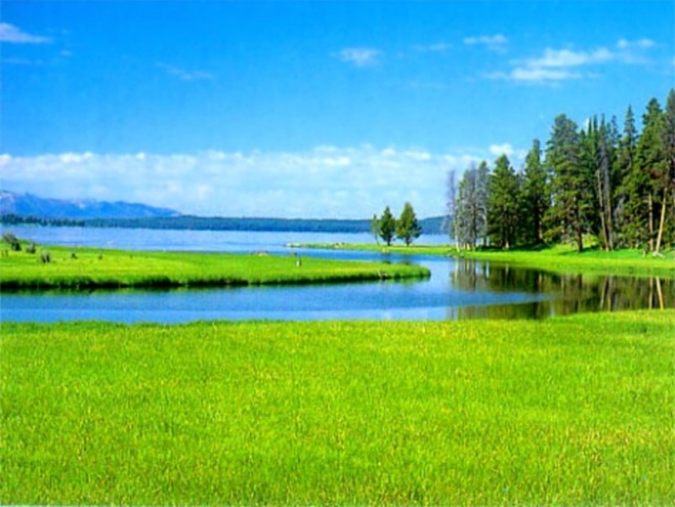 聆听彼得与狼_第3页