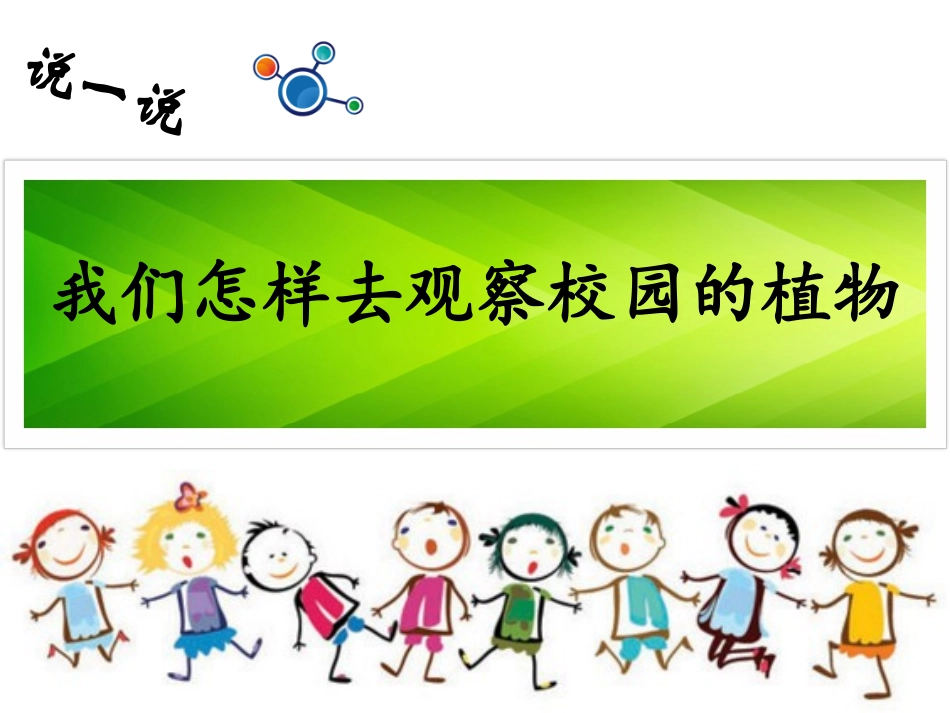 教科版小学科学一年级上1.6校园里的植物_第2页