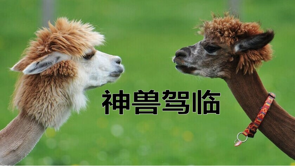 华润置业疯狂动物城神兽萌宠暖场活动方案_第1页