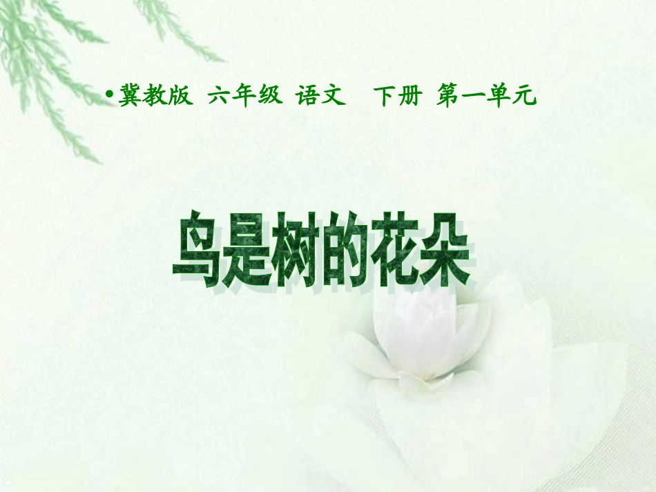 3鸟是树的花朵_第1页