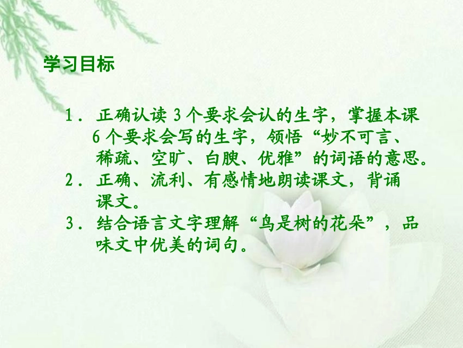 3鸟是树的花朵_第2页