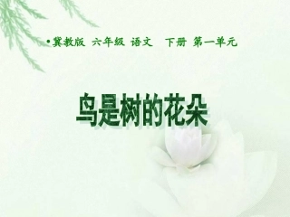 3鸟是树的花朵