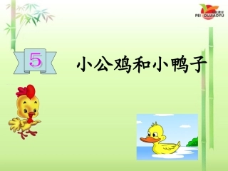 5小公鸡和小鸭子