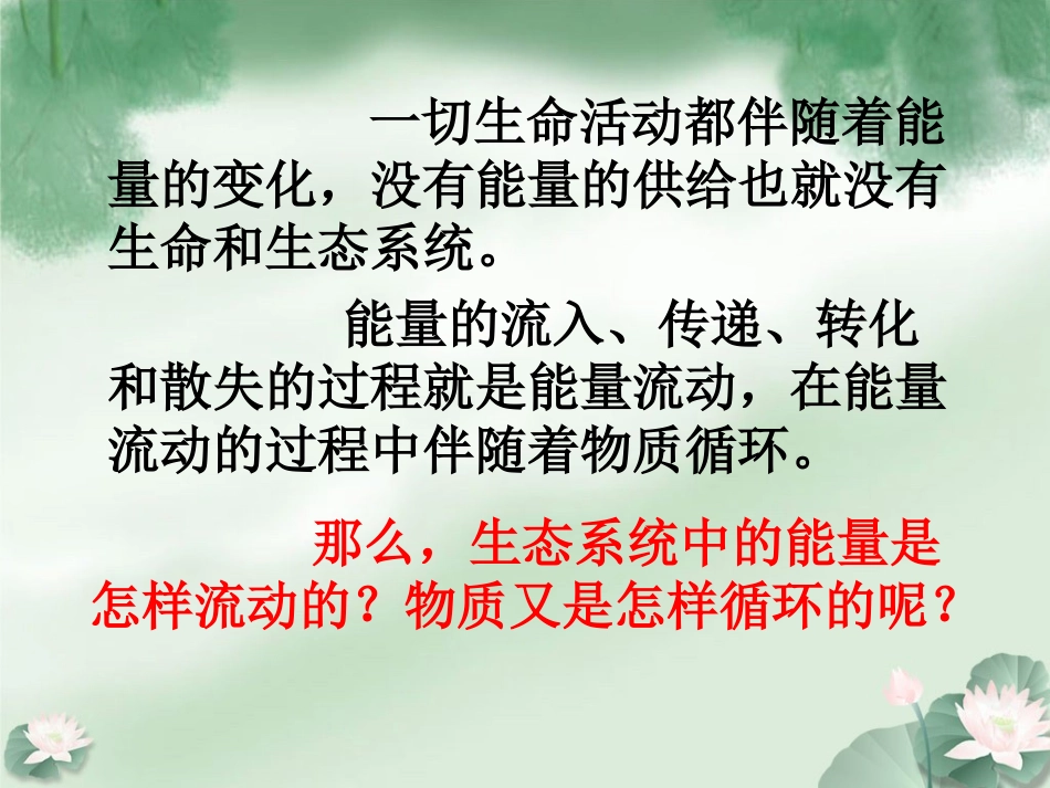 《第二节-生态系统中的能量流动和物质循环》课件2_第3页