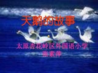 《天鹅的故事》课件