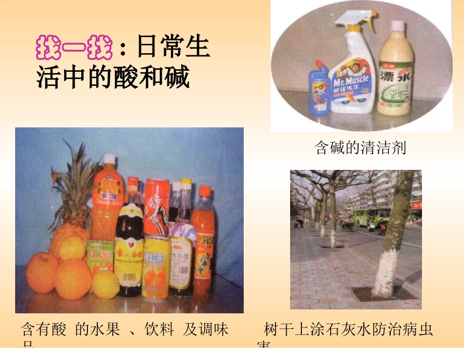 第1节--生活中的酸和碱(2)_第3页