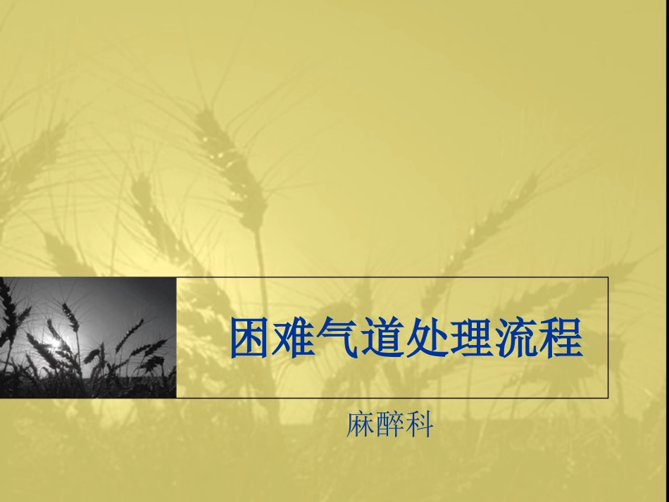 困难气道处理流程PPT_第1页