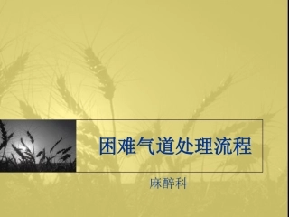 困难气道处理流程PPT