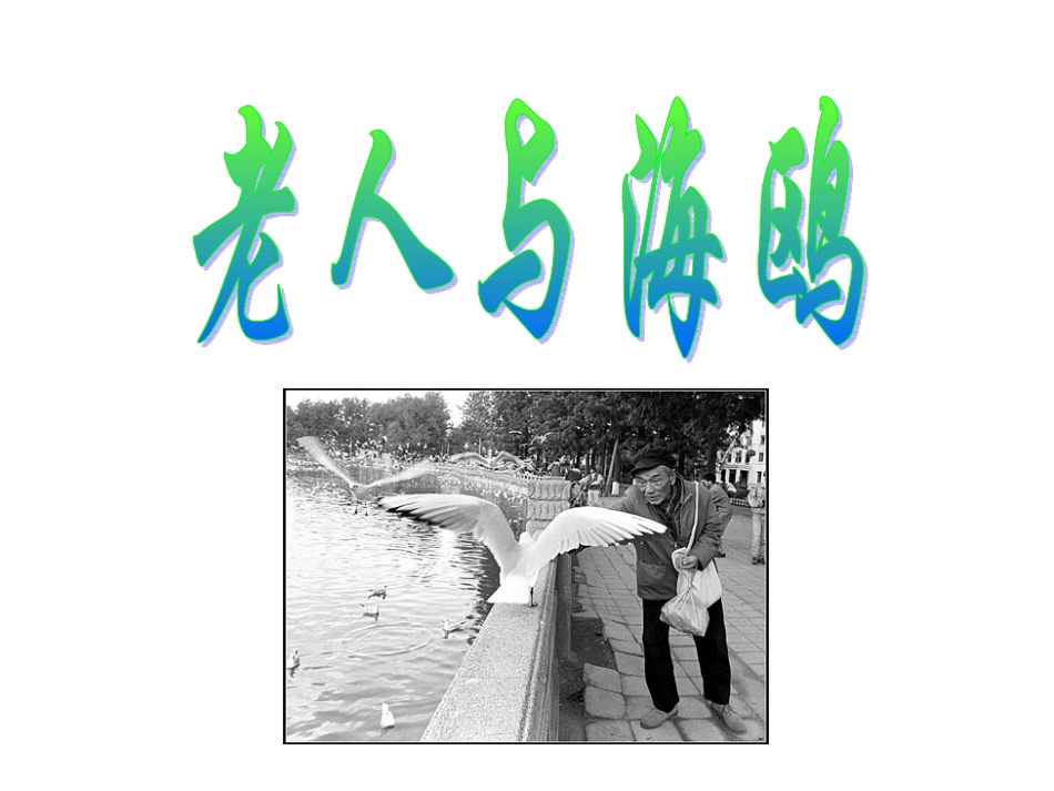 老人与海鸥课件_第1页