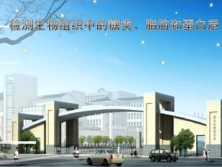 检测生物组织中的糖类、脂肪和蛋白质说课课件