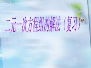 二元一次方程组复习