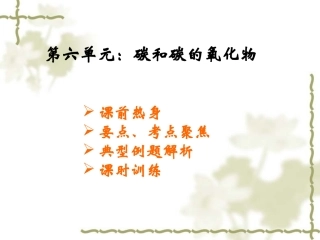 九年级化学第六单元复习课件