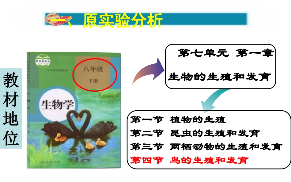 观察鸡卵的结构实验创新_第3页