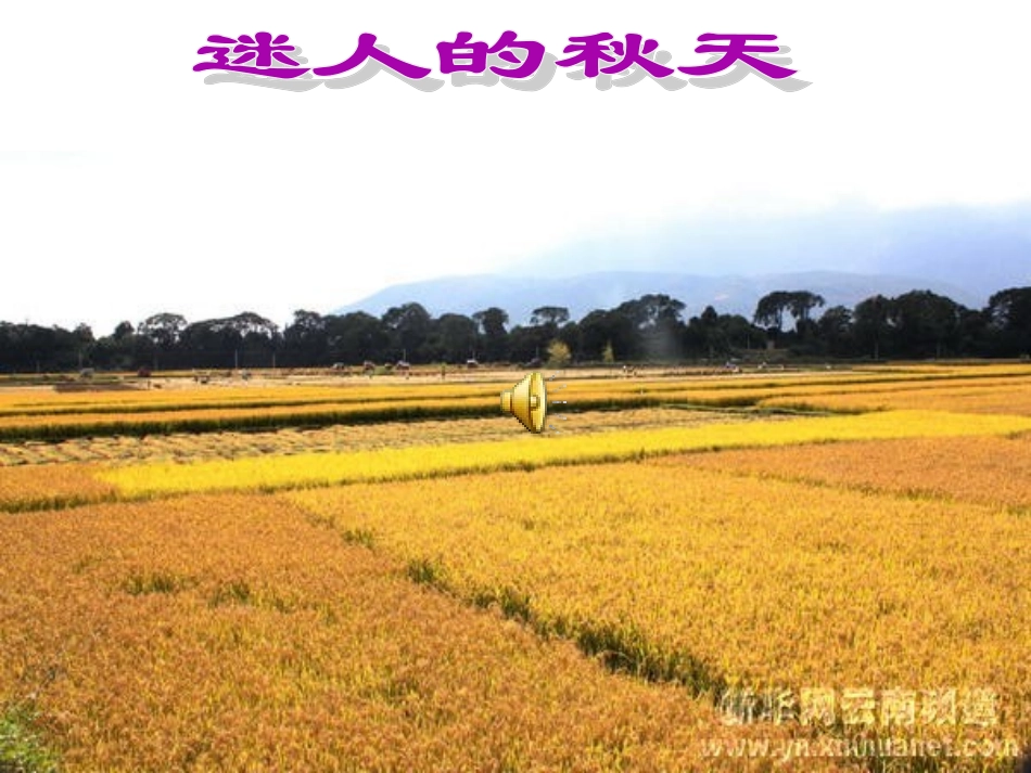 秋天的景色作文PPT_第3页