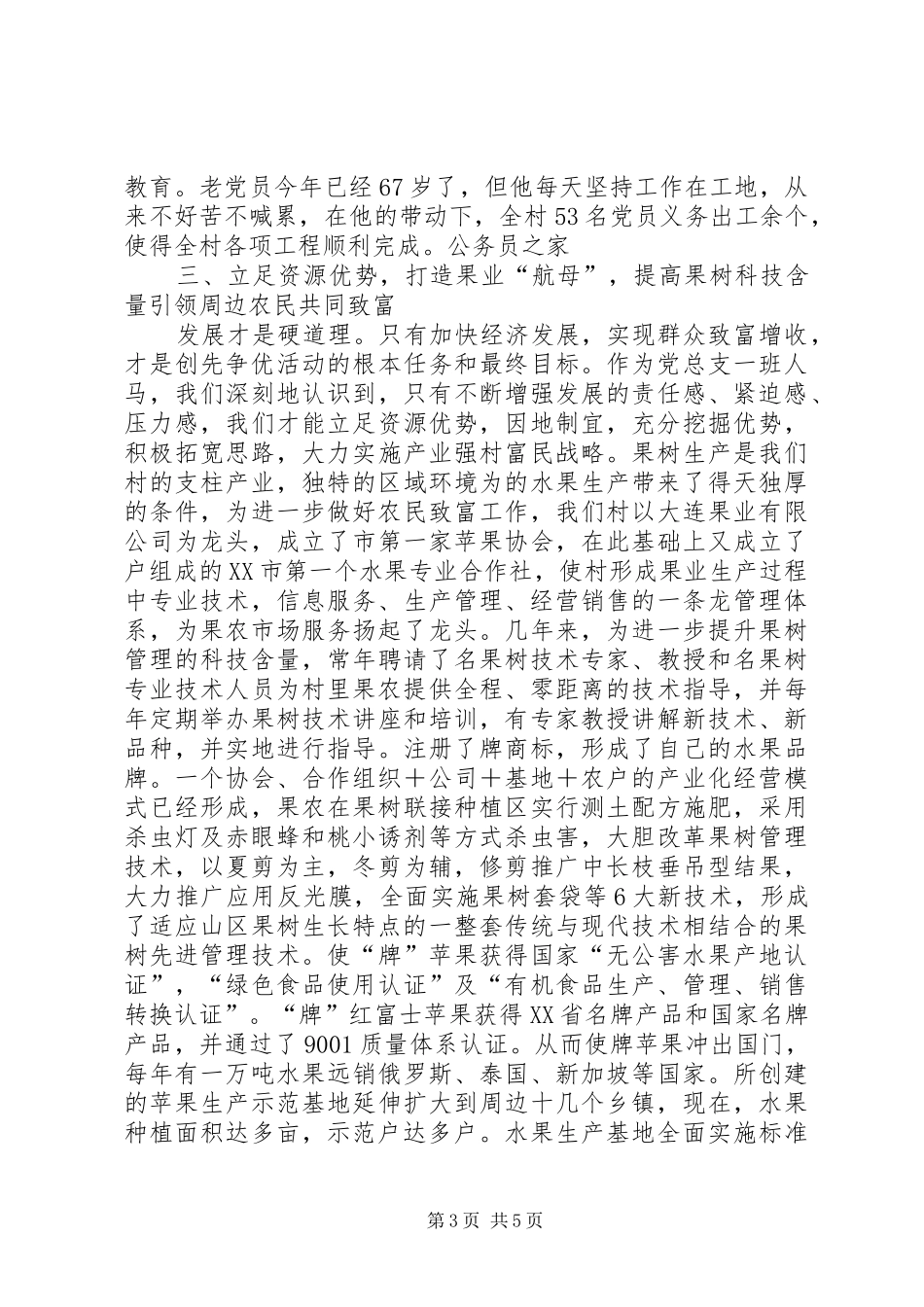 创先争优村党总支部书记讲话_第3页