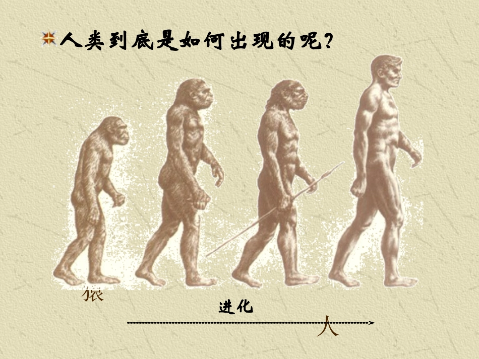 第1课人类的形成_第3页