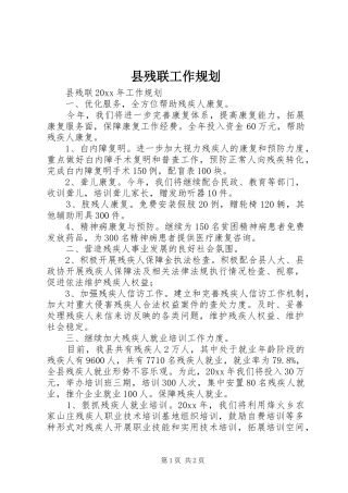 县残联工作规划