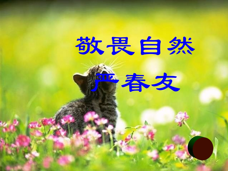 敬畏自然课件_第3页