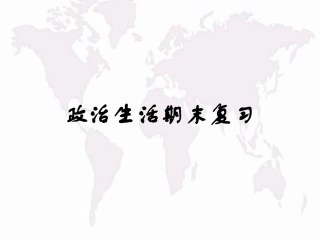 《政治生活》复习