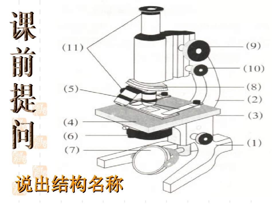 临时装片的制作_第1页