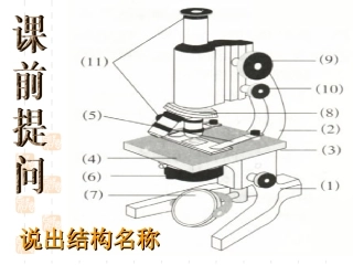 临时装片的制作