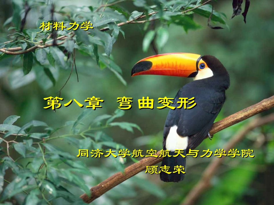 同济材料力学 顾志荣 第八章 - 弯曲变形_第2页