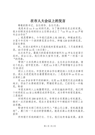 在市人大会议上的发言