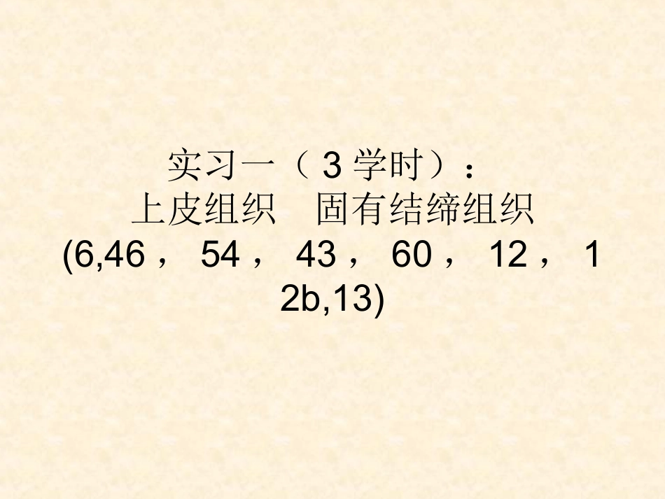 组织学与胚胎学图片_第1页