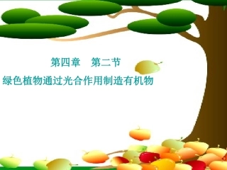 绿色植物通过光合作用制造有机物