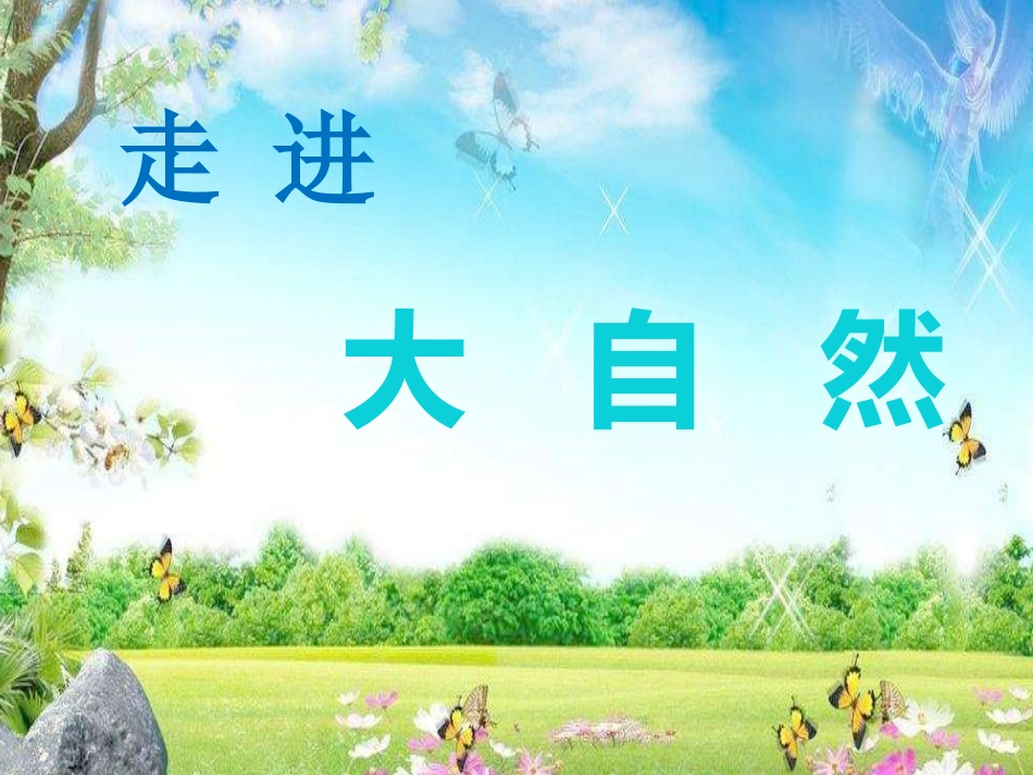 1走进大自然_第1页