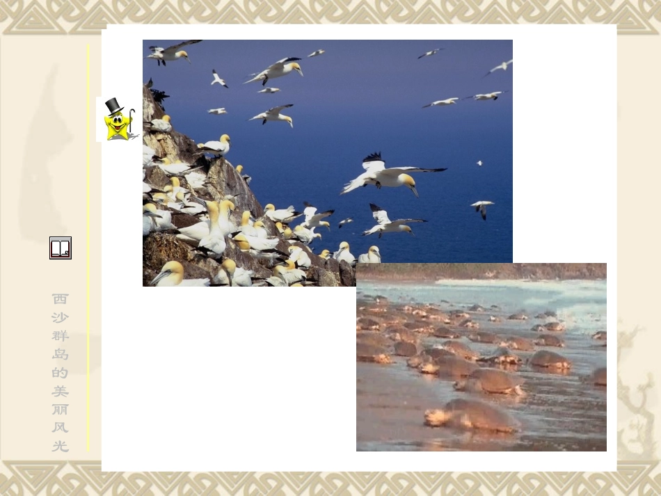 22、富饶的西沙群岛_第3页
