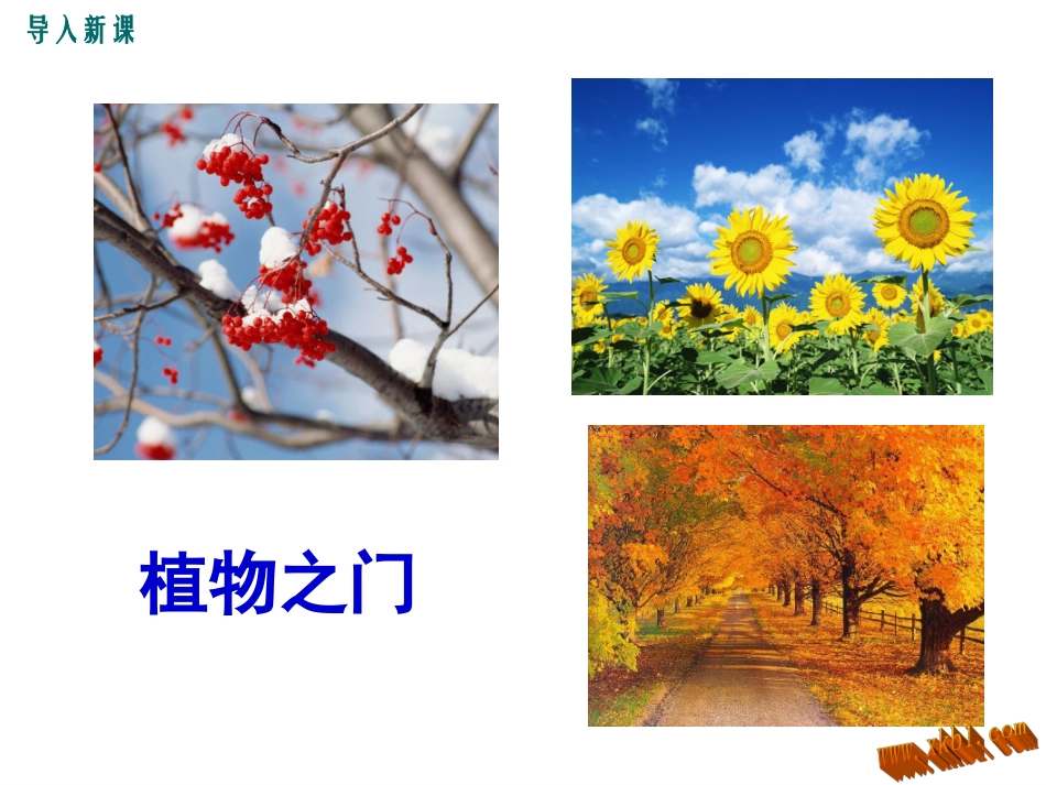 教学课件：5.为你打开一扇门_第2页