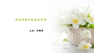 对称句的表达作用