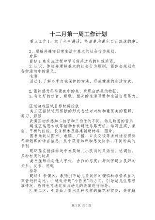 十二月第一周工作计划