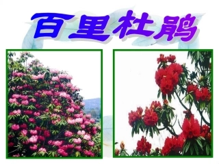 艺术字设计ppt