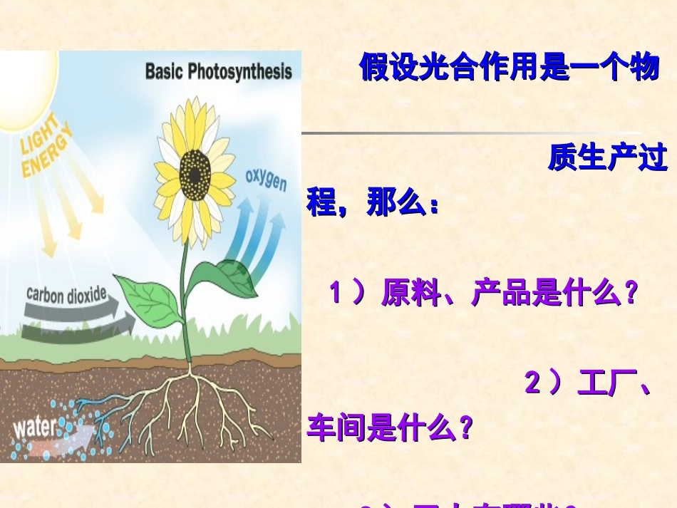 华中农业大学    植物生理学     光合作用_第2页