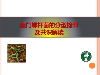 幽门螺旋杆菌分型检测