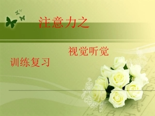 注意力第24节之视觉听觉复习(1)